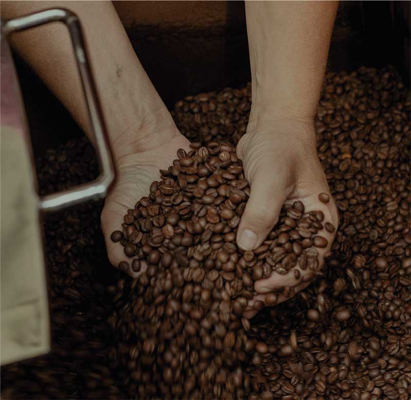 Torrefazione Valentino Caffe Lecce